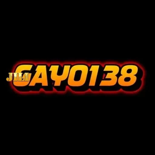 Logo gayo138